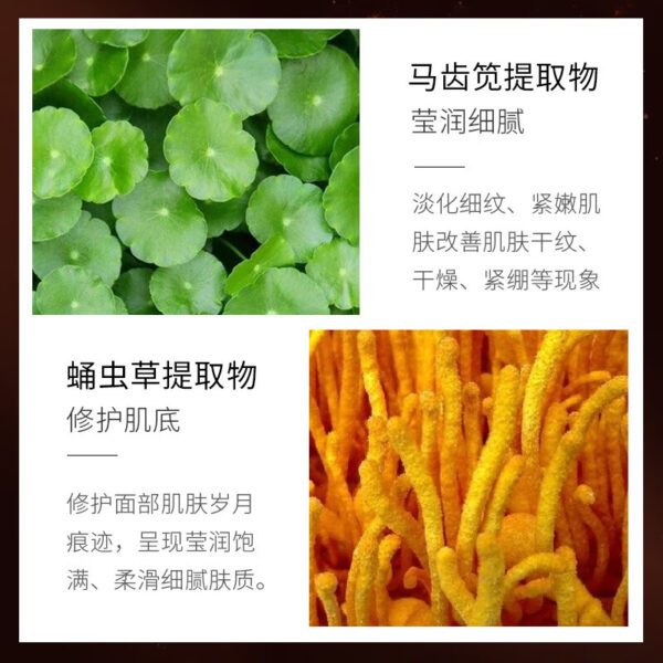 ⁦مجموعة عناية البشرة يحارب التجاعيد والخطوط الدقيقة بخلاصة Centella Asiatica⁩ - الصورة ⁦3⁩