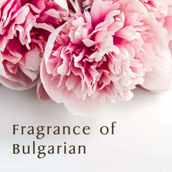 شامبو العسل Honey Shampoo Deep Moist 1.0 Organic نسبة العسل 100% - صناعة اليابان