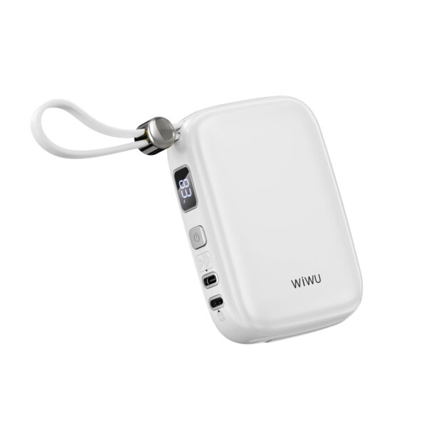 شاحن بطارية محمول WIWU Wi-P042 سعة 10000mAh مع كابلات Type-C و Lightning مدمجة - حقيبة لابتوب عمودية WIWU Alpha 11 بوصة