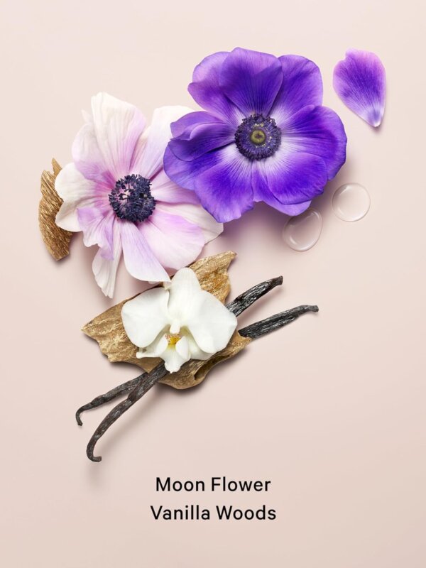 سبلاش Midnight Bloom من Victoria's Secret حجم 250 مل