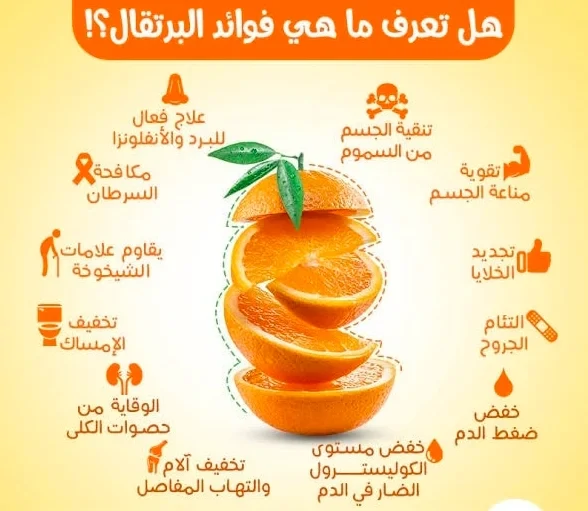 عصارة حمضيات كهربائية Sinboss سعة 1.2 لتر