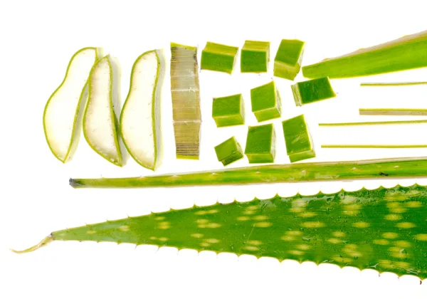 سيروم الألوفيرا Eqqualberry Aloe PDRN Calming Serum - منتجات كورية