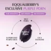 سيروم الارز مع الكولاجين EQQUALBERRY Purple + Rice PDRN Pore Minimizing Serum - منتجات كورية