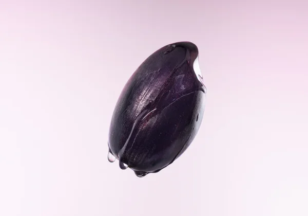 سيروم الارز مع الكولاجين EQQUALBERRY Purple + Rice PDRN Pore Minimizing Serum - منتجات كورية