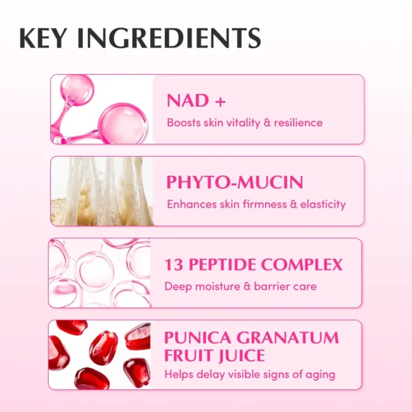 كريم كولاجين وشد البشرة ومكافحة التجاعيد  EQQUALBERRY NAD+ Peptide Boosting Cream - منتجات كورية