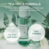 تونر لـ حب الشباب SKIN1004 Centella Tea-Trica Purifying BHA + Tea Tree منتجات كورية