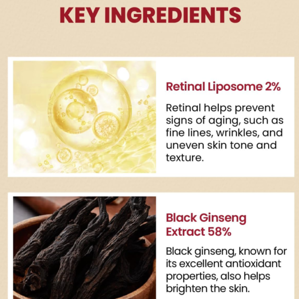 سيروم ريتينال وجنسنغ لتجاعيد وشد Seoul 1988 Retinal & Black Ginseng Serum - منتجات كورية (4) سيروم ريتينال وجنسنغ لتجاعيد وشد Seoul 1988 Retinal & Black Ginseng Serum - منتجات كورية