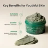 ماسك الطين تنقية وسحب الشوائب والدهون AXIS-Y Mugwort Pore Clarifying Wash Off Pack  - منتجات كورية