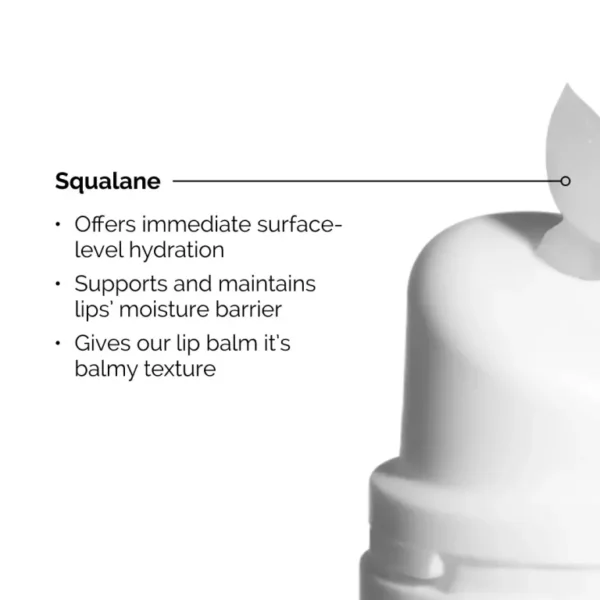 مرطب شفايف The Ordinary Squalane + Amino Acids Lip Balm